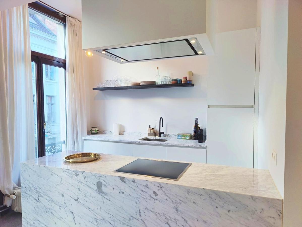 Traditional Chic, High Ceilings' Apt Aircos And Garage 안트베르펜 외부 사진